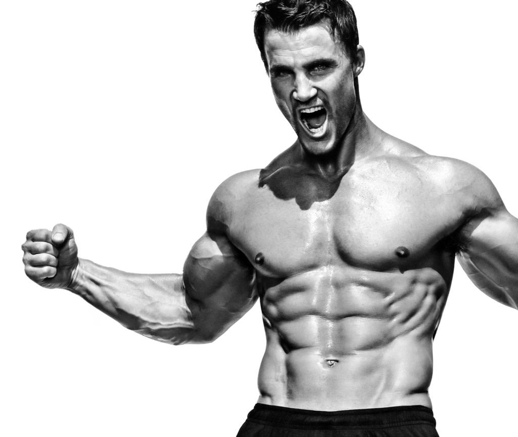 shredded-for-100-dollars