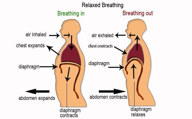 How to tell if you're breathing correctly