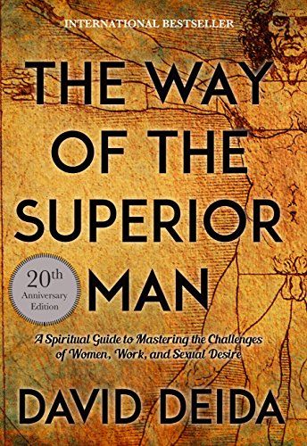 the-way-of-the-superior-man-david-deida