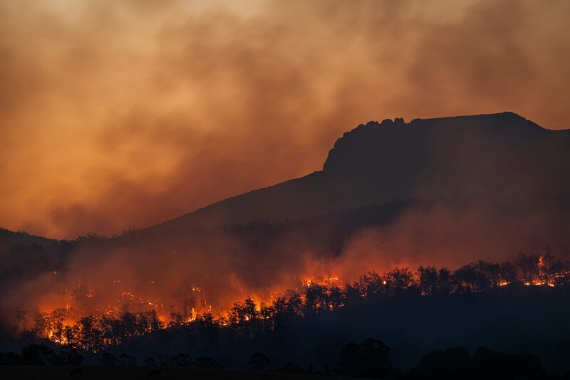 golden-thread-of-posture-high-volume-emotions-wildfire (1)