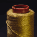 golden-thread-posture-body-domain-tenet-andreia-philosophy