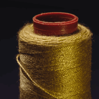 golden-thread-posture-body-domain-tenet-andreia-philosophy