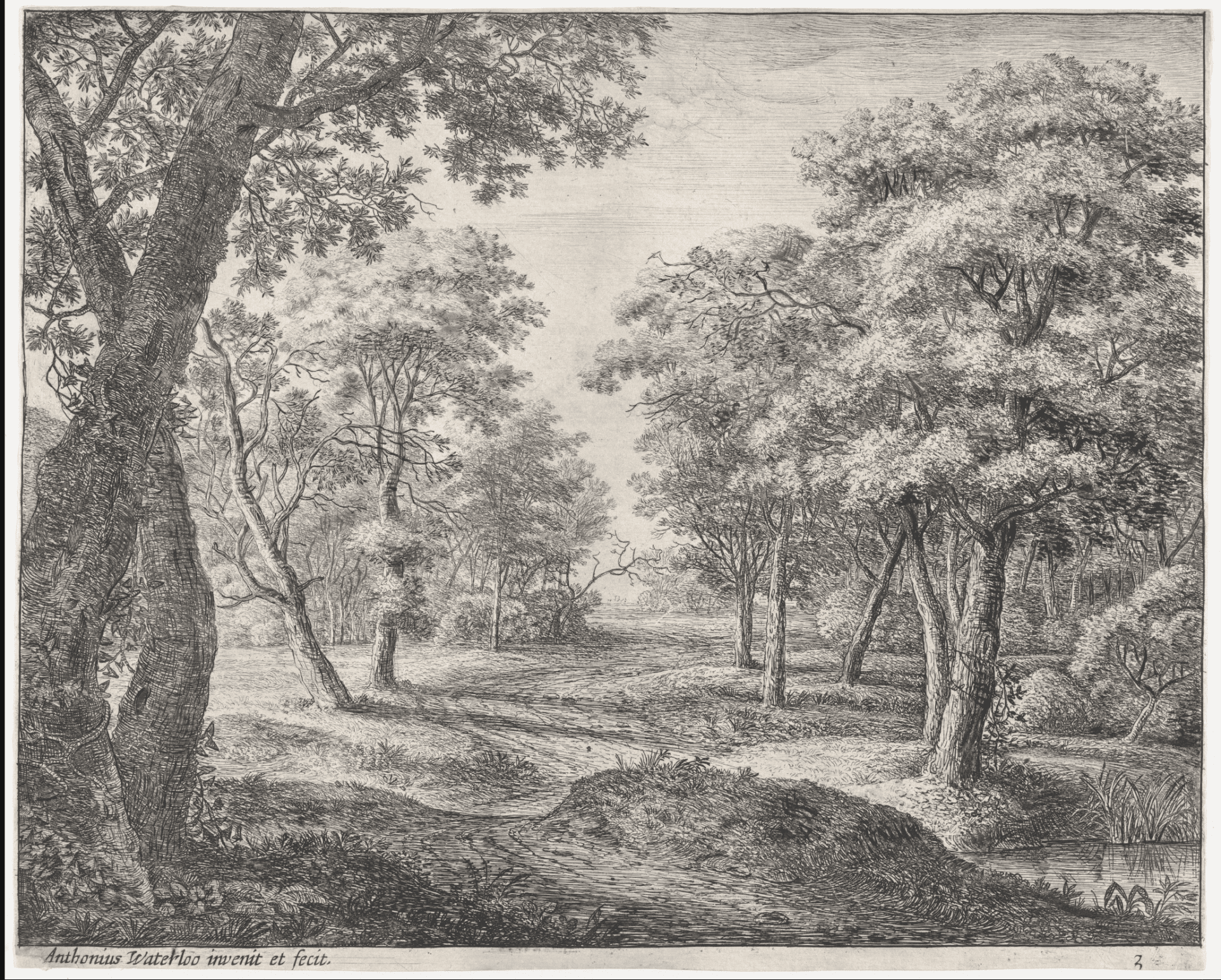 the-road-through-the-woods-anthonie-waterloo-met-museum-andreia-philosophy