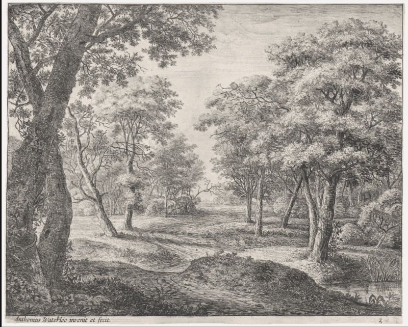 the-road-through-the-woods-anthonie-waterloo-met-museum-andreia-philosophy
